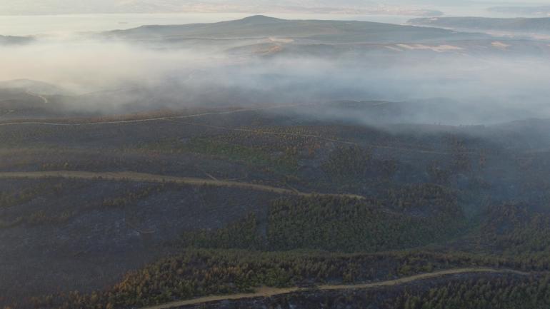 Çanakkale’deki orman yangınında zarar gören alanlar dron ile görüntülendi