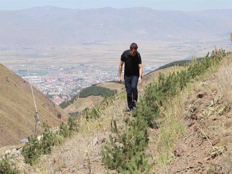 Palandökeni ağaçlandırma ve çimlendirme projesinde arılar da kullanılıyor