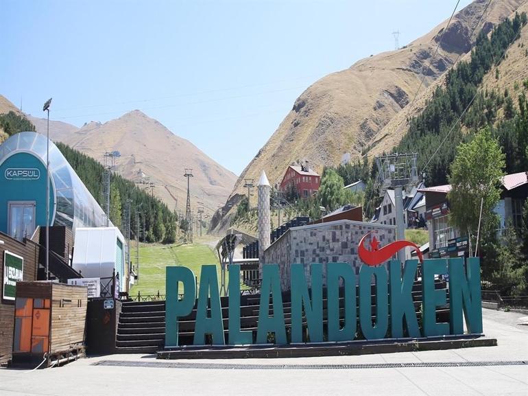 Palandökeni ağaçlandırma ve çimlendirme projesinde arılar da kullanılıyor