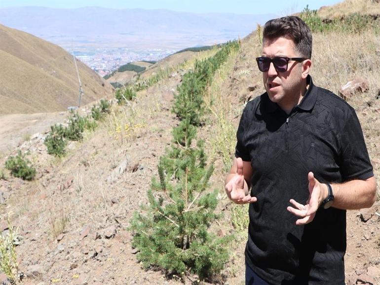 Palandökeni ağaçlandırma ve çimlendirme projesinde arılar da kullanılıyor