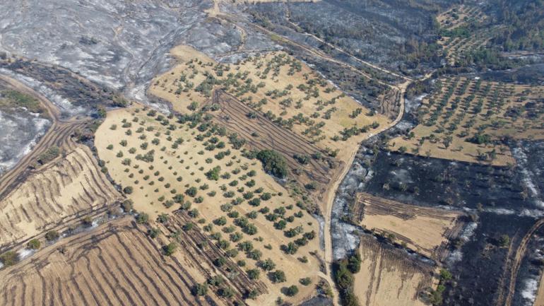 Çanakkale’deki orman yangınında zarar gören alanlar dron ile görüntülendi