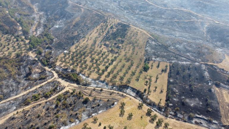 Çanakkale’deki orman yangınında zarar gören alanlar dron ile görüntülendi