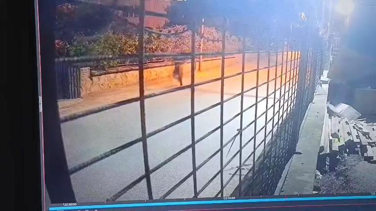 Eyüpsultanda taksiciyi öldüren şüpheli adliyeye sevk edildi: Hasmıma benzettim ateş ettim