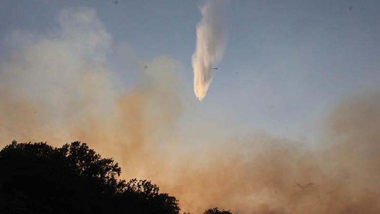 Malatyada orman yangını