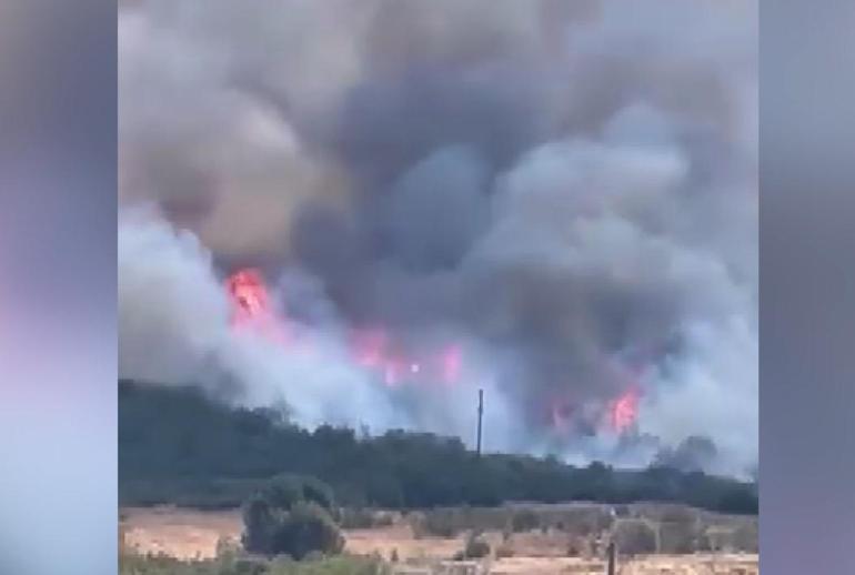 Bursada orman yangını kontrol altında