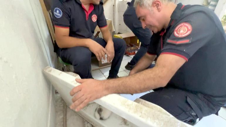 Avcılar’da başı lavabo deliğine sıkışan yavru kediyi itfaiye kurtardı