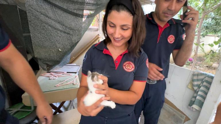 Avcılar’da başı lavabo deliğine sıkışan yavru kediyi itfaiye kurtardı