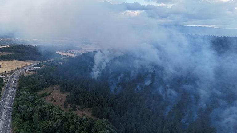 Boluda çıkan orman yangını kontrol altında