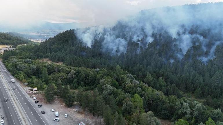 Boluda çıkan orman yangını kontrol altında