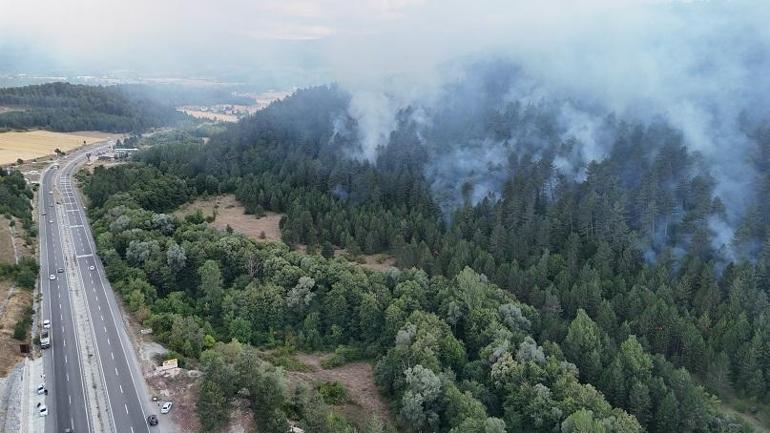 Boluda çıkan orman yangını kontrol altında