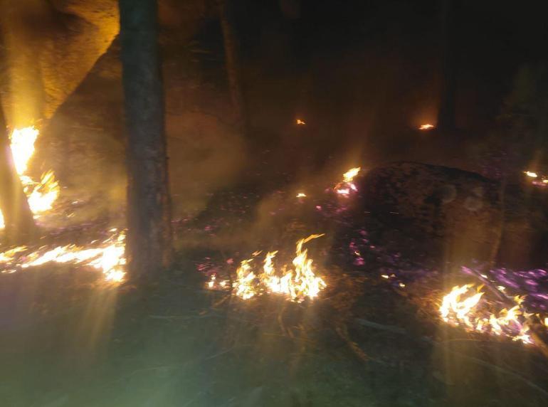 Muğla’da orman yangını