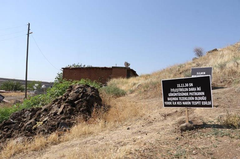Narin Güran, ölümünün yıl dönümünde mezarı başında anıldı