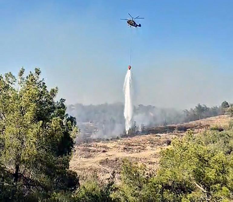 Adana’da orman yangını