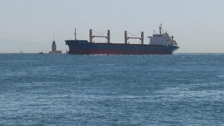 Yapay ışıklar deniz ekosistemini tehdit ediyor