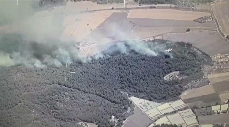 İzmir’de çıkan orman yangını kontrol altında