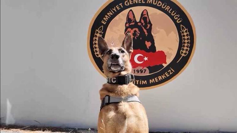 Narkotik köpeği ‘Pars’ emekliye ayrıldı