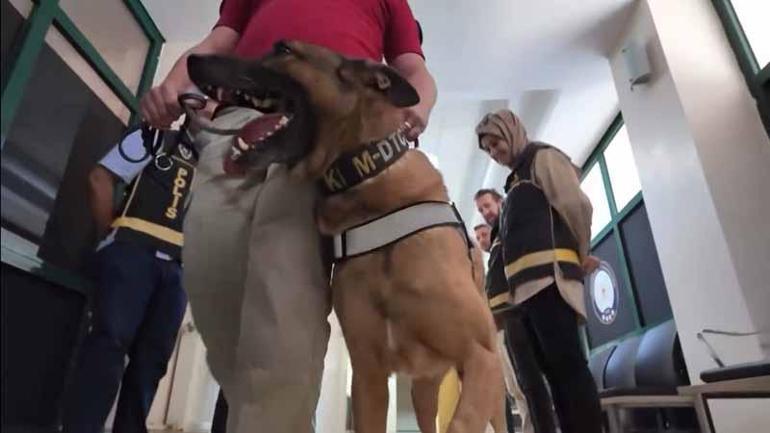 Narkotik köpeği ‘Pars’ emekliye ayrıldı