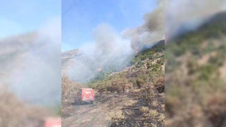 Malatyada çıkan orman yangını söndürüldü