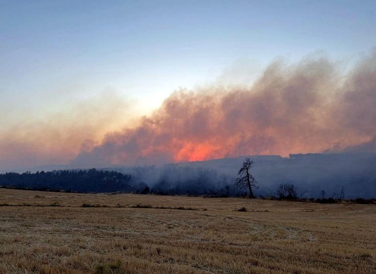 Çanakkalede orman yangını kontrol altında