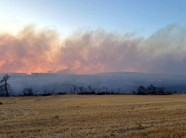 Çanakkalede orman yangını kontrol altında