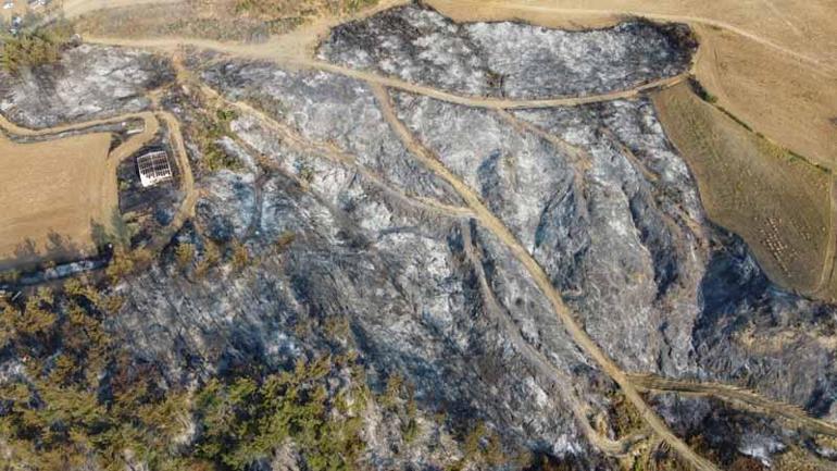 Çanakkalede orman yangını kontrol altında; yanan alanlar dronla görüntülendi