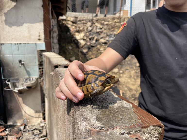 Kocaelide ot yangını kontrol altında