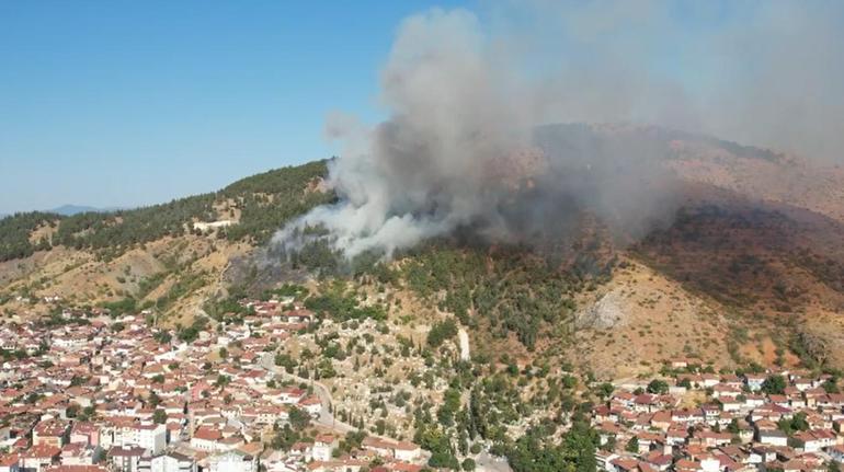 Tokat’ta orman yangını