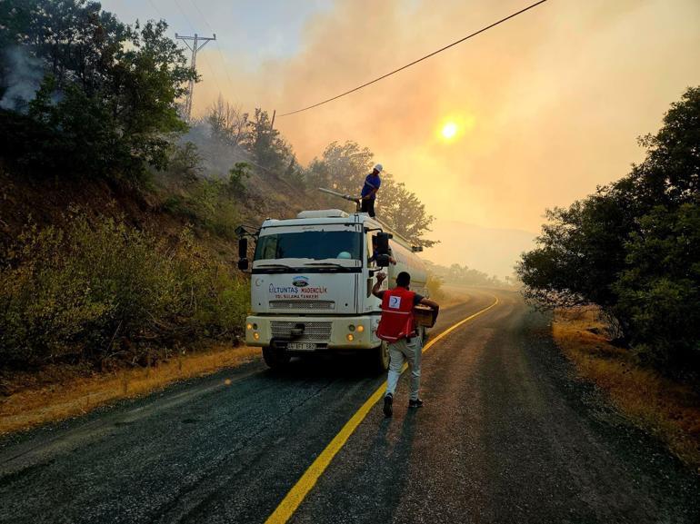Malatyada orman yangını