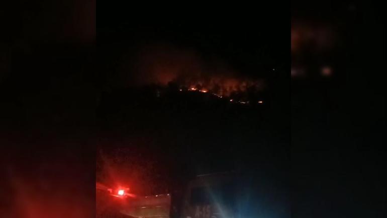 Malatyada orman yangını