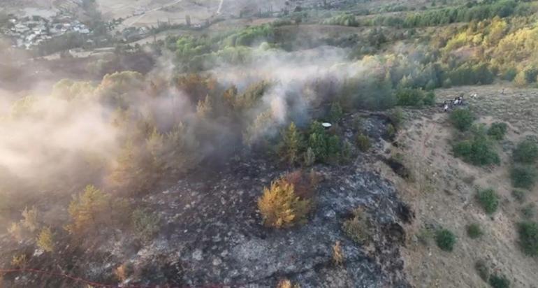 Ordu’da orman yangın 4 saatte söndürüldü