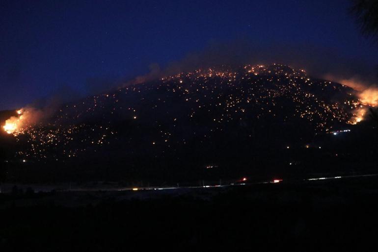 Denizlide orman yangını