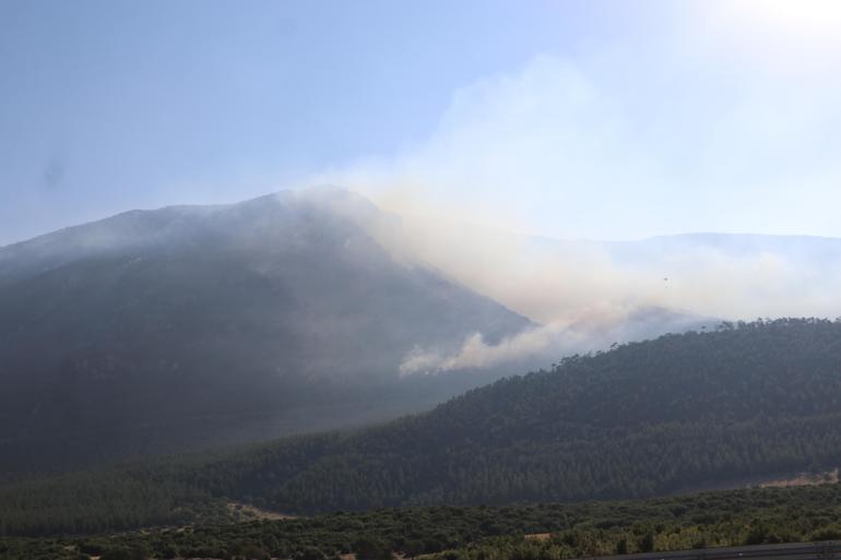 Denizlideki orman yangını 2nci gününde; kontrol altına alındı
