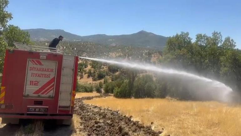 Diyarbakır’da 4 noktada örtü yangını