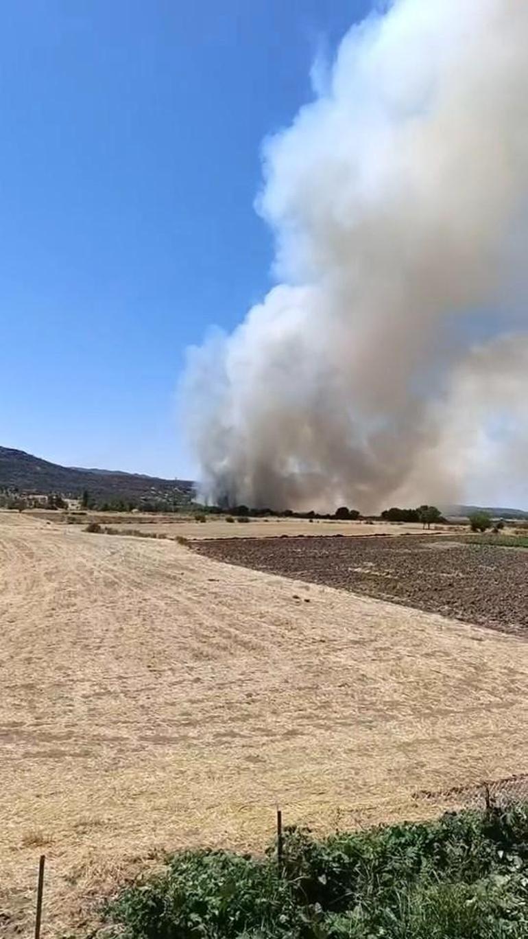 Diyarbakır’da 4 noktada örtü yangını