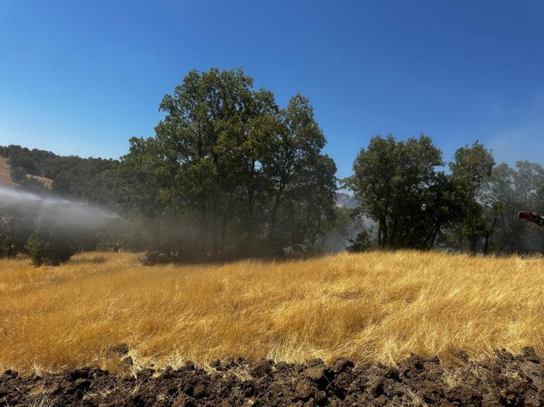 Diyarbakır’da 4 noktada örtü yangını