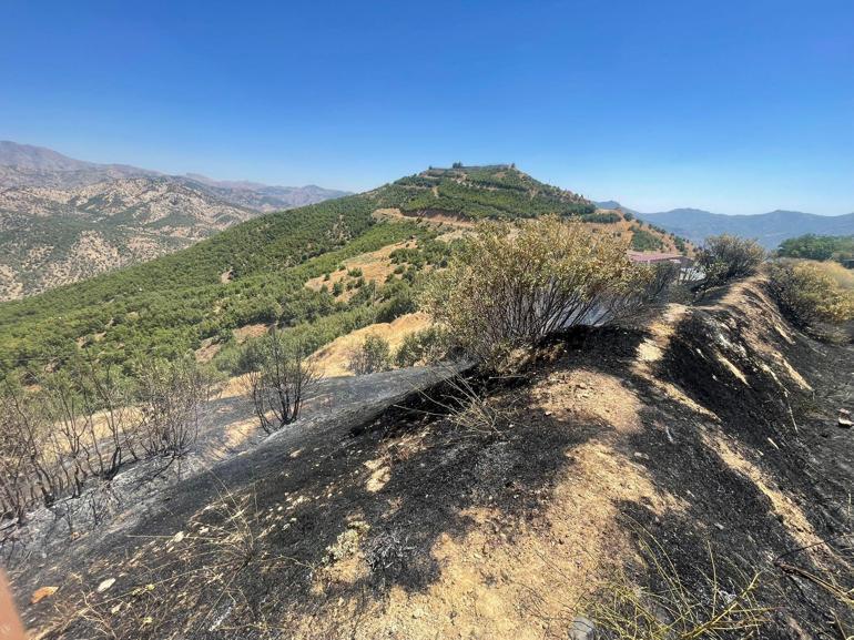 Diyarbakır’da 4 noktada örtü yangını