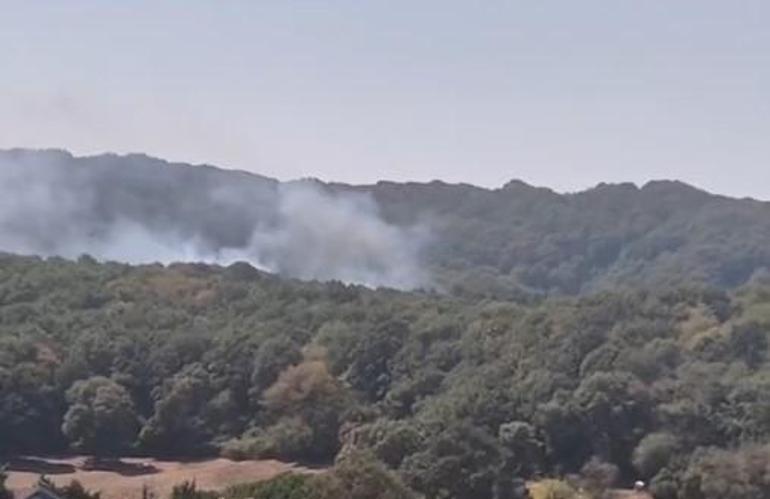 Sarıyerde ormanda yangın