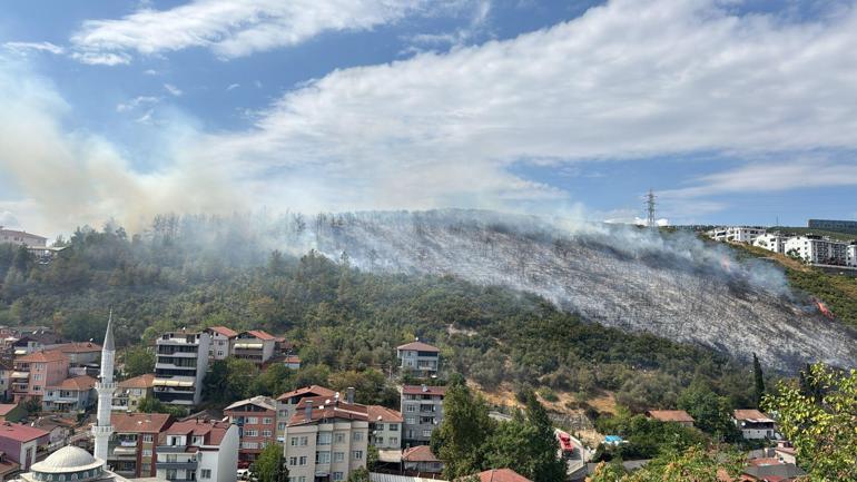 Kocaeli’de orman yangını kontrol altında
