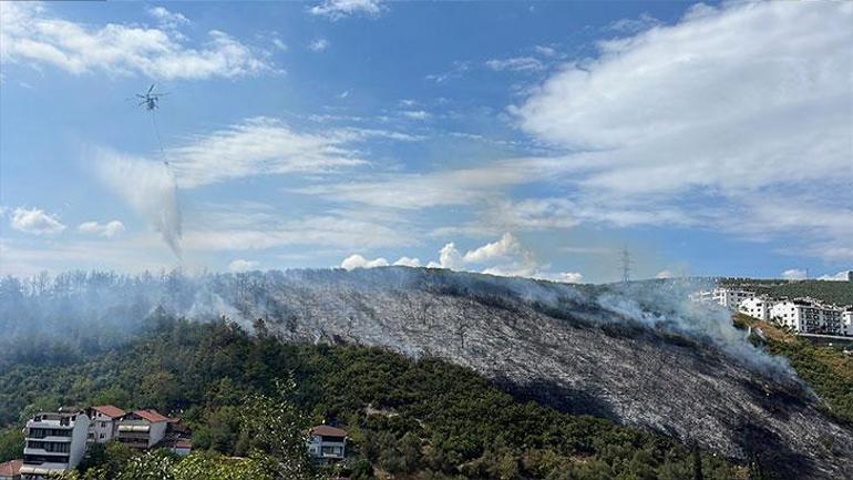 Kocaeli’de orman yangını kontrol altında