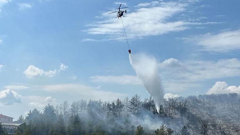 Kocaeli’de orman yangını kontrol altında