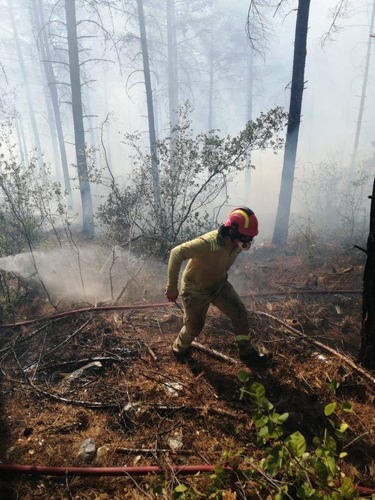 Otoyoldaki otomobilde çıkan yangın, ormana sıçradı; kontrol altına alındı