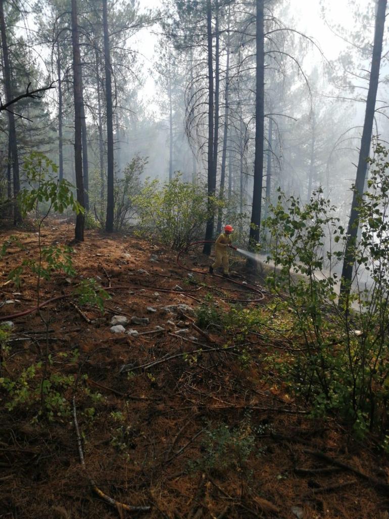 Otoyoldaki otomobilde çıkan yangın, ormana sıçradı; kontrol altına alındı