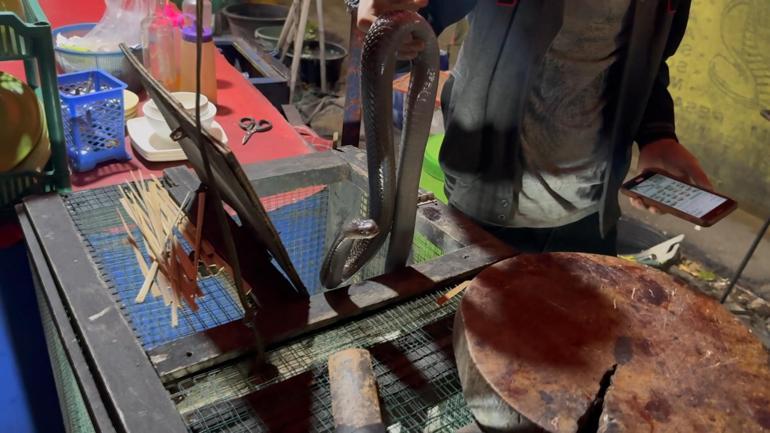 Kuralsız Sokaklar tarihin izinde