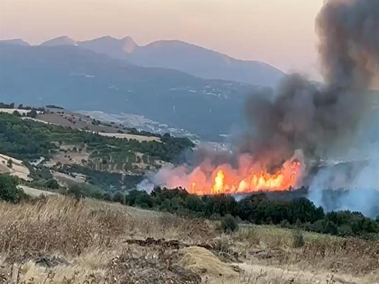Susurluktaki orman yangını 12 saat sonra kontrol altına alındı