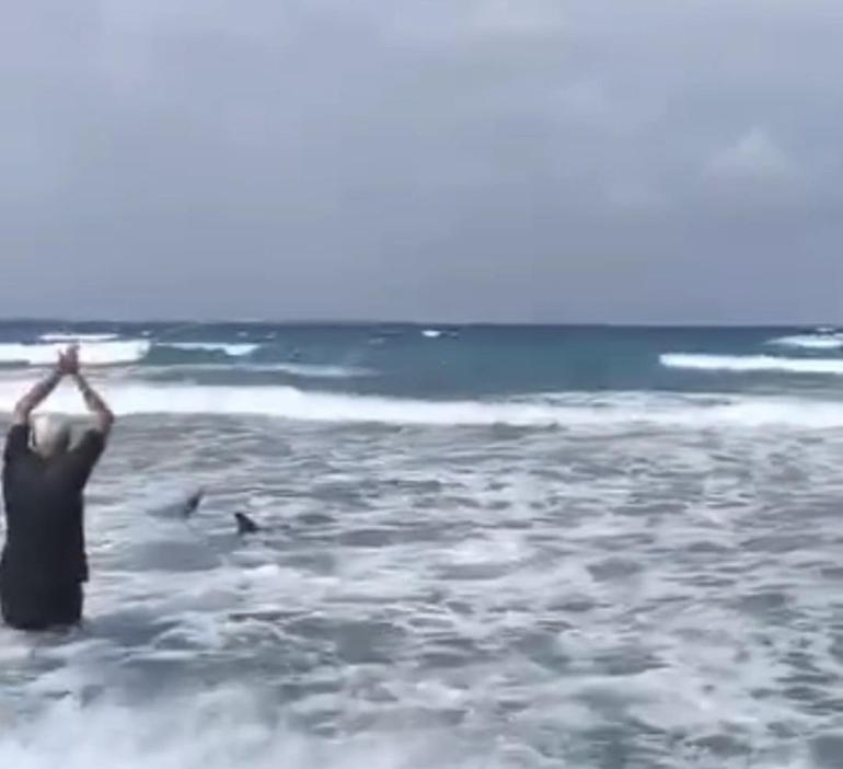 Sahile vuran yunusu denize taşıdılar