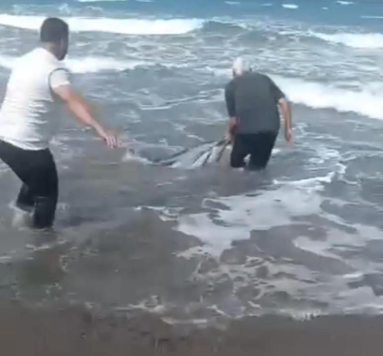 Sahile vuran yunusu denize taşıdılar