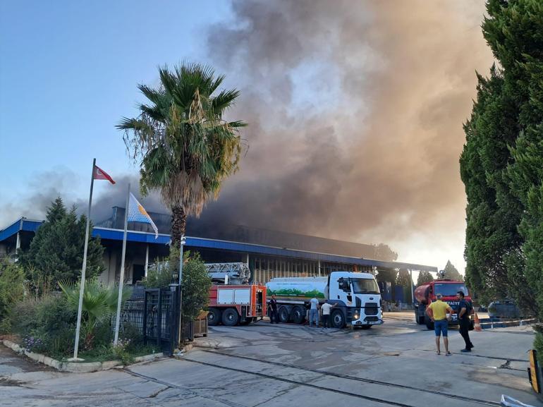 Antalyada soğuk hava deposu ve imalathanede yangın