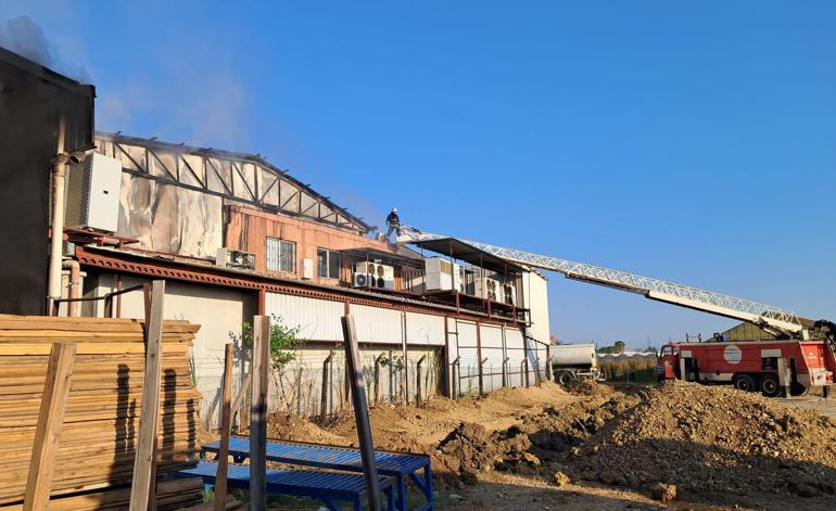 Antalyada soğuk hava deposu ve imalathanede yangın