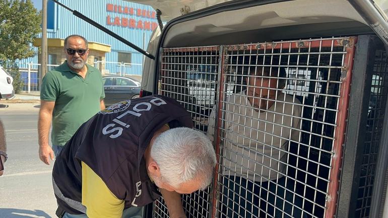 Kezbanı sokak ortasında öldüren şüpheli tutuklandı