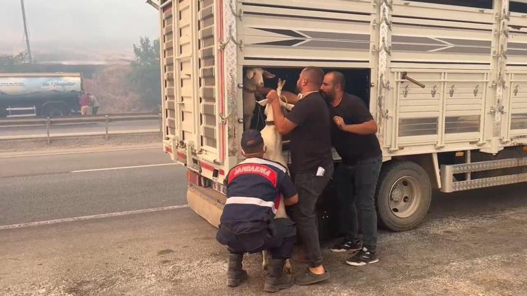 Bursa’da orman yangını kontrol altında